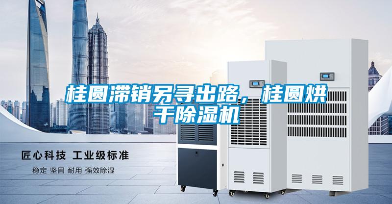 桂圓滯銷另尋出路，桂圓烘干除濕機