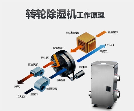 冷鏈運輸車如何消毒？電動噴霧消毒機