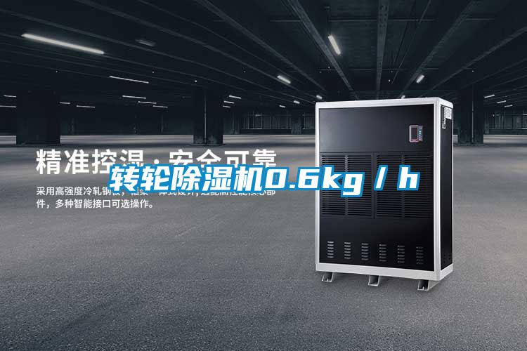 轉(zhuǎn)輪除濕機(jī)0.6kg／h
