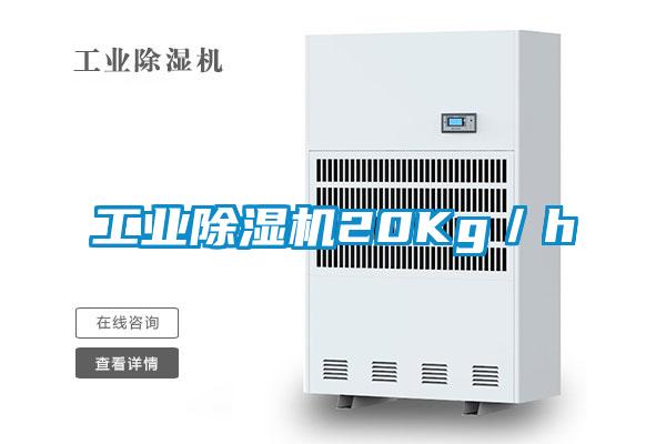 工業(yè)除濕機(jī)20Kg／h