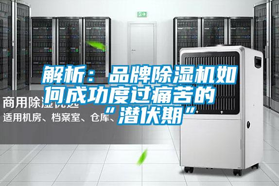 解析：品牌除濕機(jī)如何成功度過(guò)痛苦的“潛伏期”