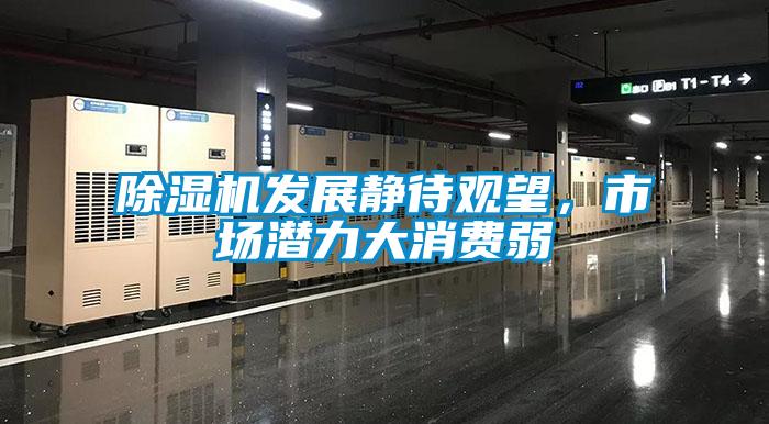 除濕機發(fā)展靜待觀望，市場潛力大消費弱