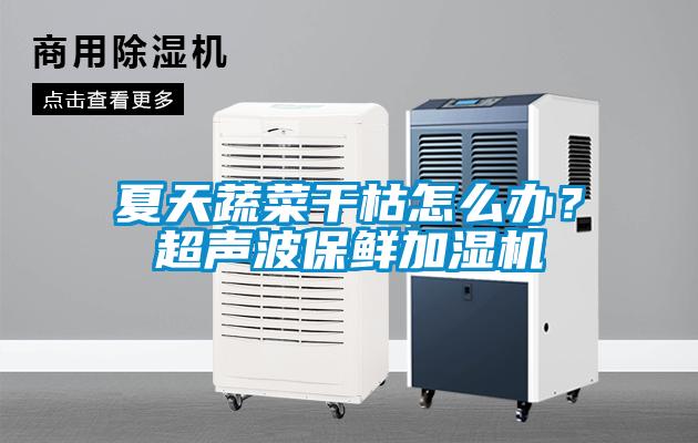 夏天蔬菜干枯怎么辦？超聲波保鮮加濕機(jī)