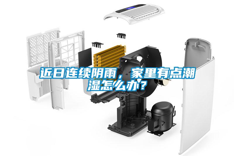 近日連續(xù)陰雨，家里有點潮濕怎么辦？