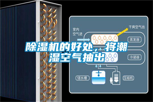 除濕機(jī)的好處，將潮濕空氣抽出