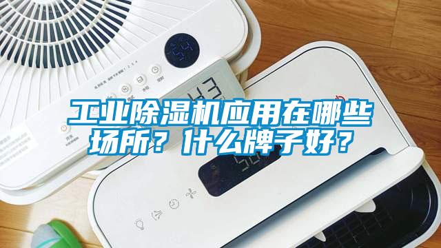 工業(yè)除濕機應(yīng)用在哪些場所？什么牌子好？