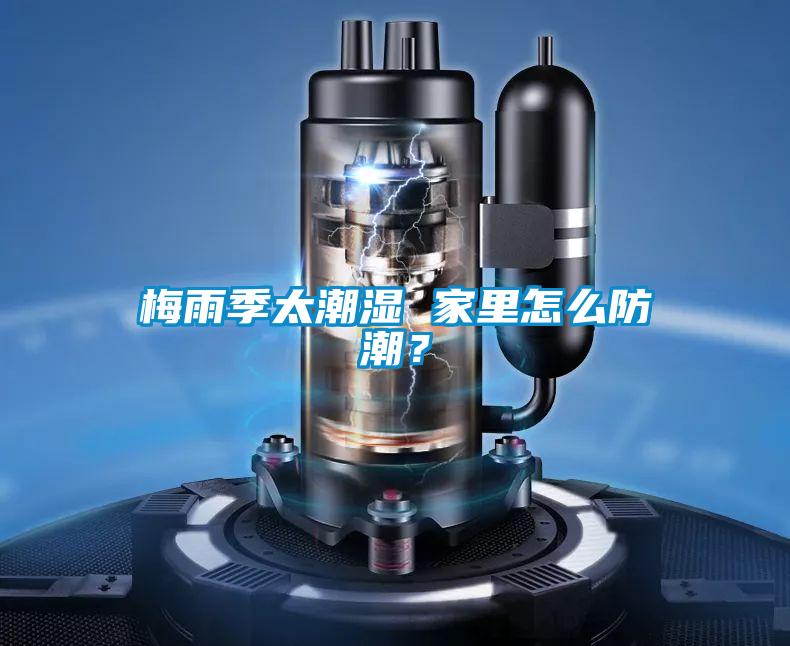 梅雨季太潮濕 家里怎么防潮？