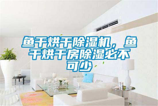 魚干烘干除濕機，魚干烘干房除濕必不可少