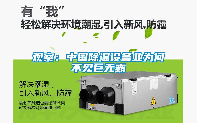觀察：中國除濕設(shè)備業(yè)為何不見巨無霸