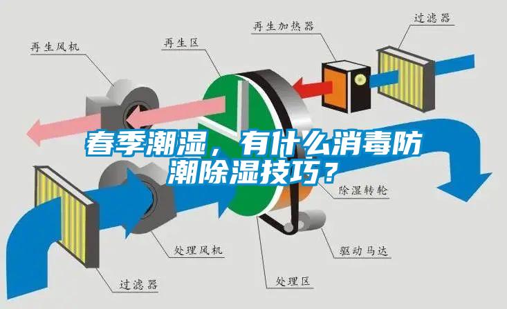 春季潮濕，有什么消毒防潮除濕技巧？