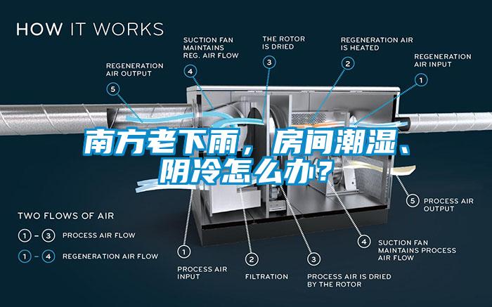 南方老下雨，房間潮濕、陰冷怎么辦？