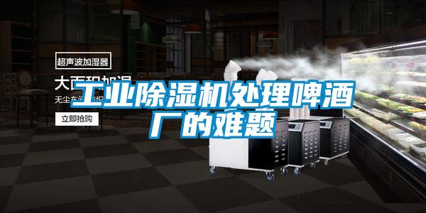 工業(yè)除濕機(jī)處理啤酒廠的難題