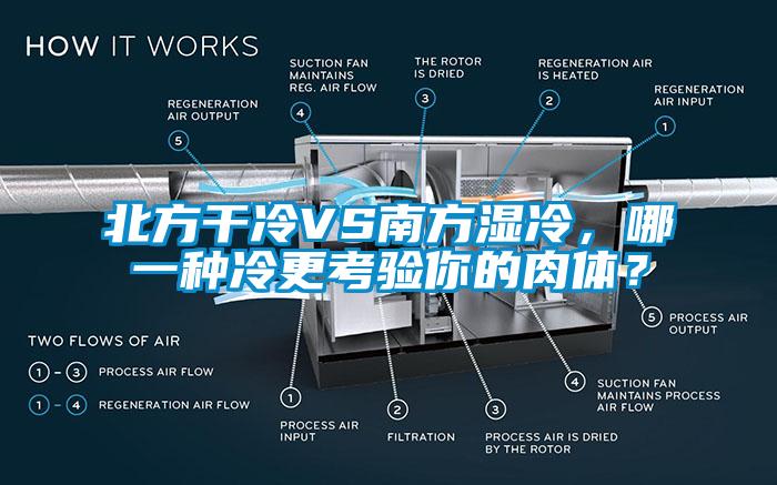 北方干冷VS南方濕冷，哪一種冷更考驗?zāi)愕娜怏w？