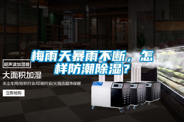 梅雨天暴雨不斷，怎樣防潮除濕？