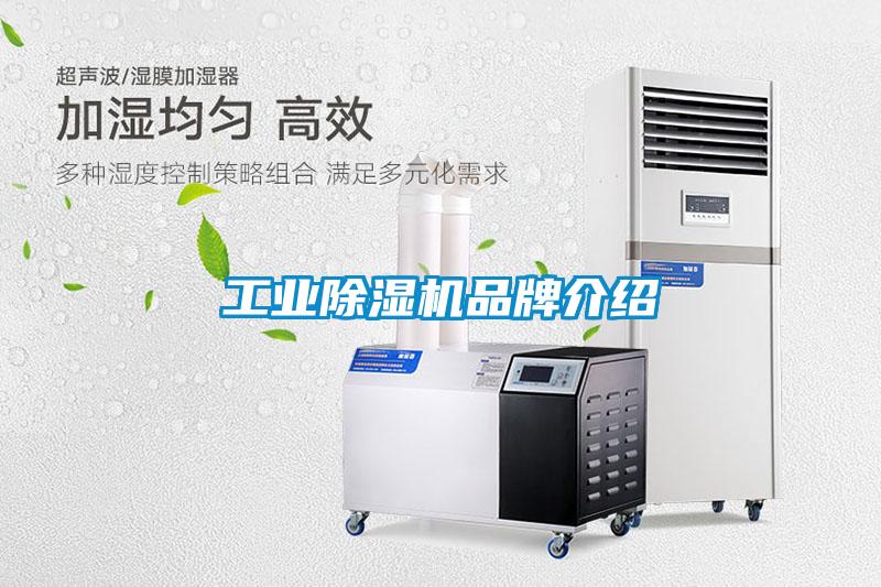 工業(yè)除濕機品牌介紹
