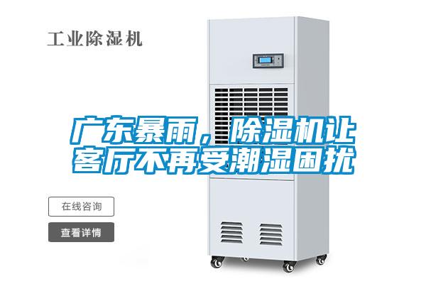 廣東暴雨，除濕機(jī)讓客廳不再受潮濕困擾