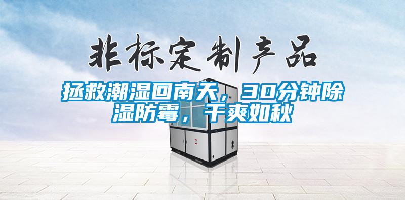 拯救潮濕回南天，30分鐘除濕防霉，干爽如秋