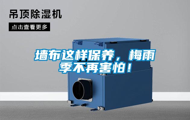 墻布這樣保養(yǎng)，梅雨季不再害怕！