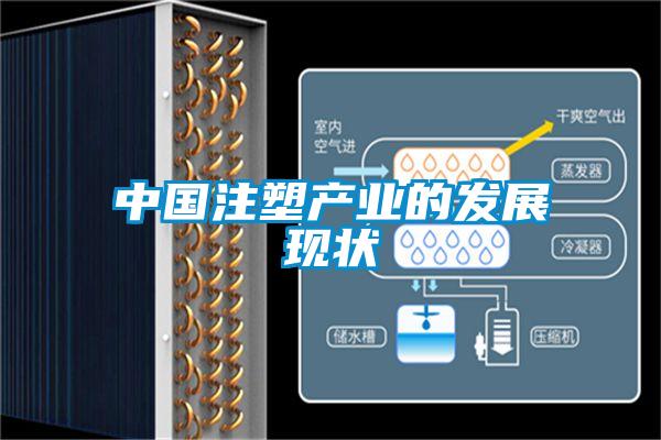 中國注塑產(chǎn)業(yè)的發(fā)展現(xiàn)狀