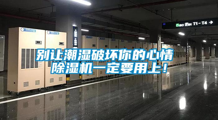 別讓潮濕破壞你的心情 除濕機(jī)一定要用上！