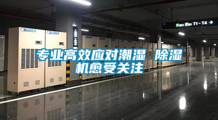 專業(yè)高效應對潮濕 除濕機愈受關注