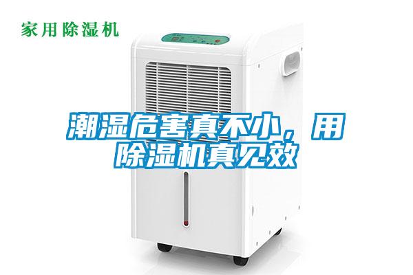 潮濕危害真不小，用除濕機(jī)真見效