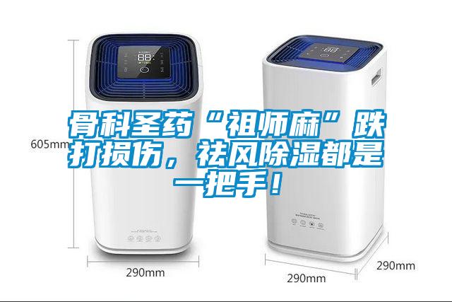 骨科圣藥“祖師麻”跌打損傷，祛風除濕都是一把手！