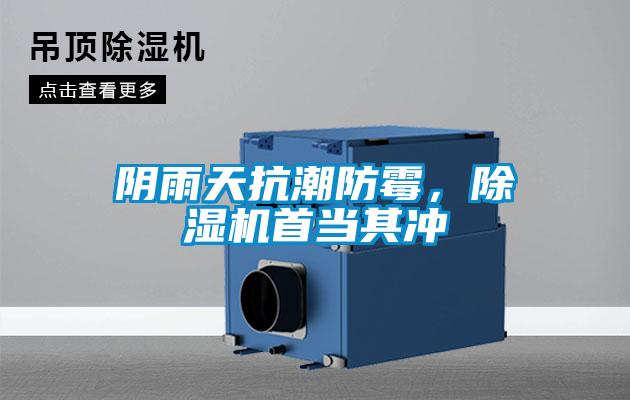 陰雨天抗潮防霉，除濕機(jī)首當(dāng)其沖