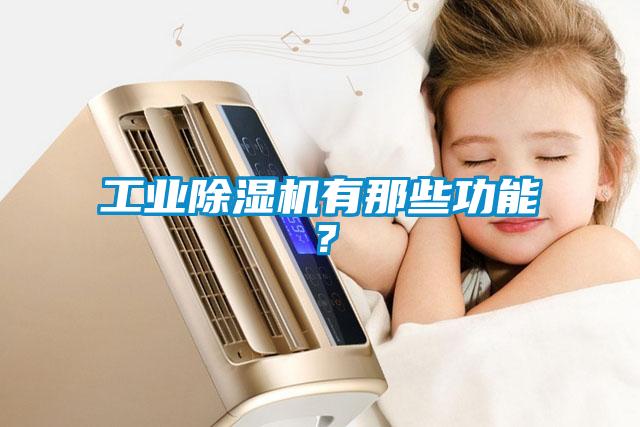 工業(yè)除濕機(jī)有那些功能？