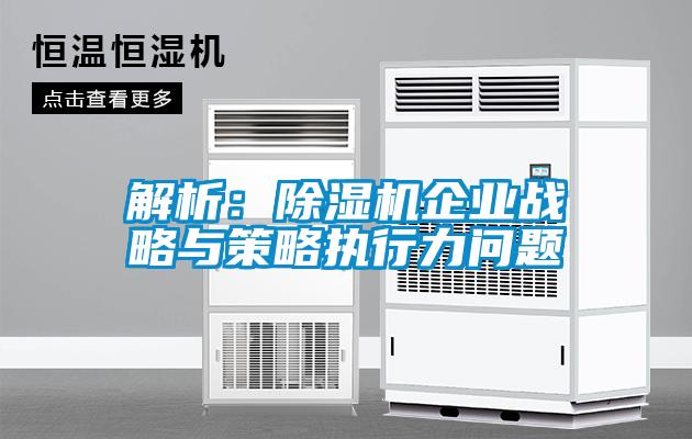 解析：除濕機(jī)企業(yè)戰(zhàn)略與策略執(zhí)行力問題