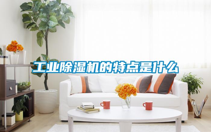 工業(yè)除濕機的特點是什么