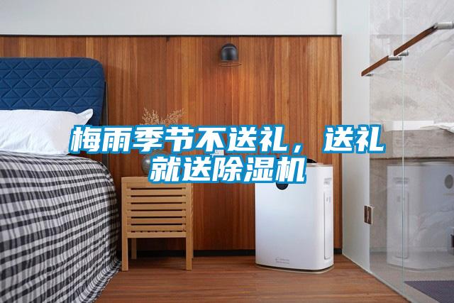 梅雨季節(jié)不送禮，送禮就送除濕機