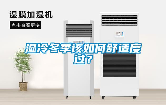 濕冷冬季該如何舒適度過？