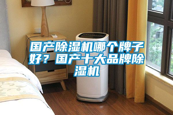 國產(chǎn)除濕機(jī)哪個牌子好？國產(chǎn)十大品牌除濕機(jī)