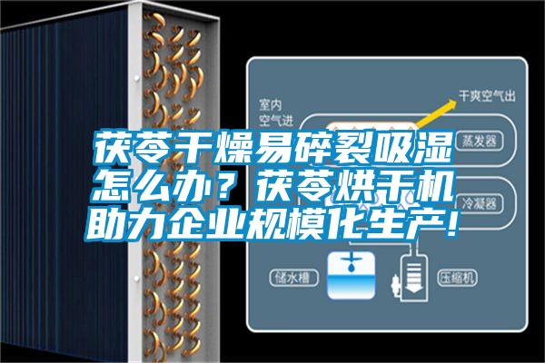 茯苓干燥易碎裂吸濕怎么辦？茯苓烘干機助力企業(yè)規(guī)?；a!