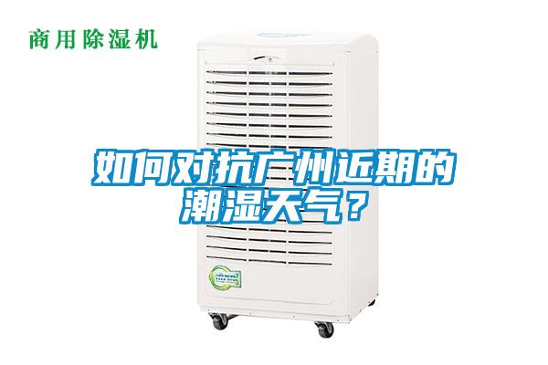 如何對(duì)抗廣州近期的潮濕天氣？