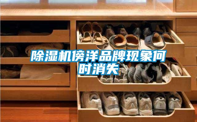 除濕機(jī)傍洋品牌現(xiàn)象何時消失