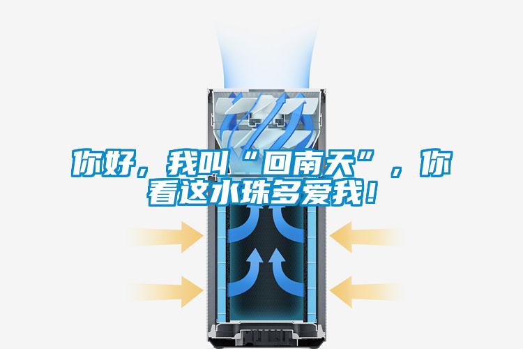 你好，我叫“回南天”，你看這水珠多愛(ài)我！
