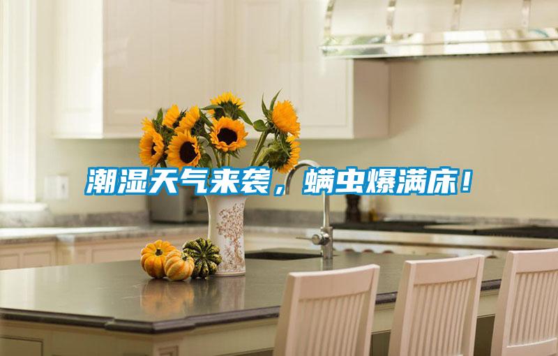 潮濕天氣來襲，螨蟲爆滿床！