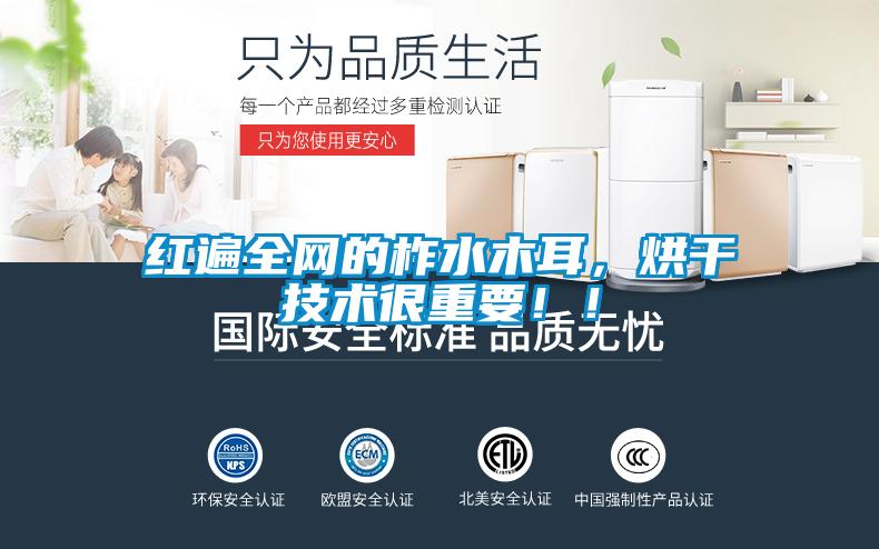 紅遍全網(wǎng)的柞水木耳，烘干技術(shù)很重要?。?/></p>
                              <p style=
