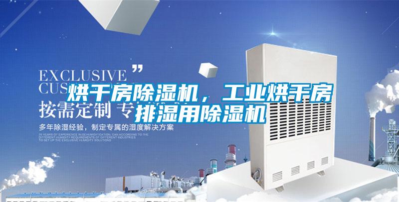 烘干房除濕機，工業(yè)烘干房排濕用除濕機