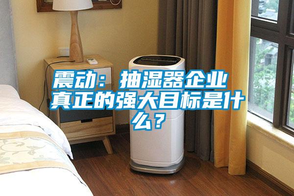 震動(dòng)：抽濕器企業(yè) 真正的強(qiáng)大目標(biāo)是什么？