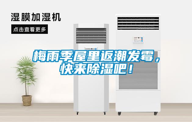 梅雨季屋里返潮發(fā)霉，快來(lái)除濕吧！
