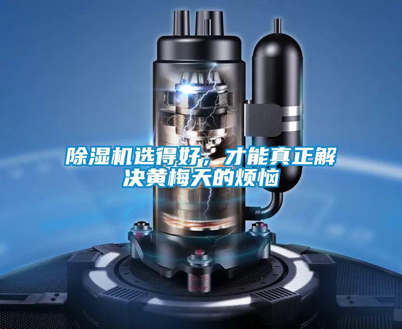 除濕機(jī)選得好，才能真正解決黃梅天的煩惱
