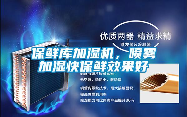 保鮮庫加濕機，噴霧加濕快保鮮效果好