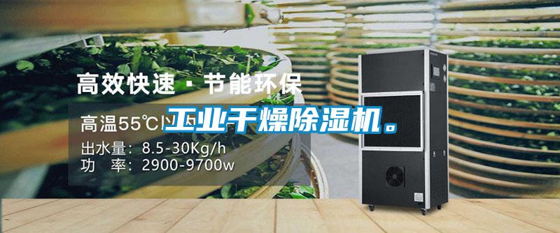 工業(yè)干燥除濕機(jī)。