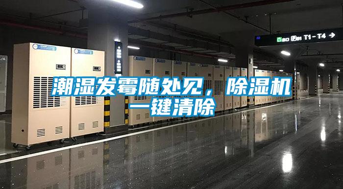 潮濕發(fā)霉隨處見，除濕機(jī)一鍵清除