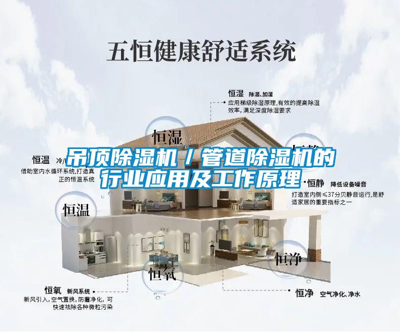 吊頂除濕機／管道除濕機的行業(yè)應用及工作原理