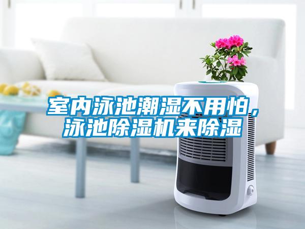 室內(nèi)泳池潮濕不用怕，泳池除濕機(jī)來(lái)除濕