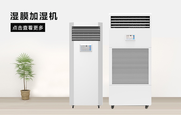 梅雨季，各種東西發(fā)霉了，該怎么辦？如何除霉除霉味？